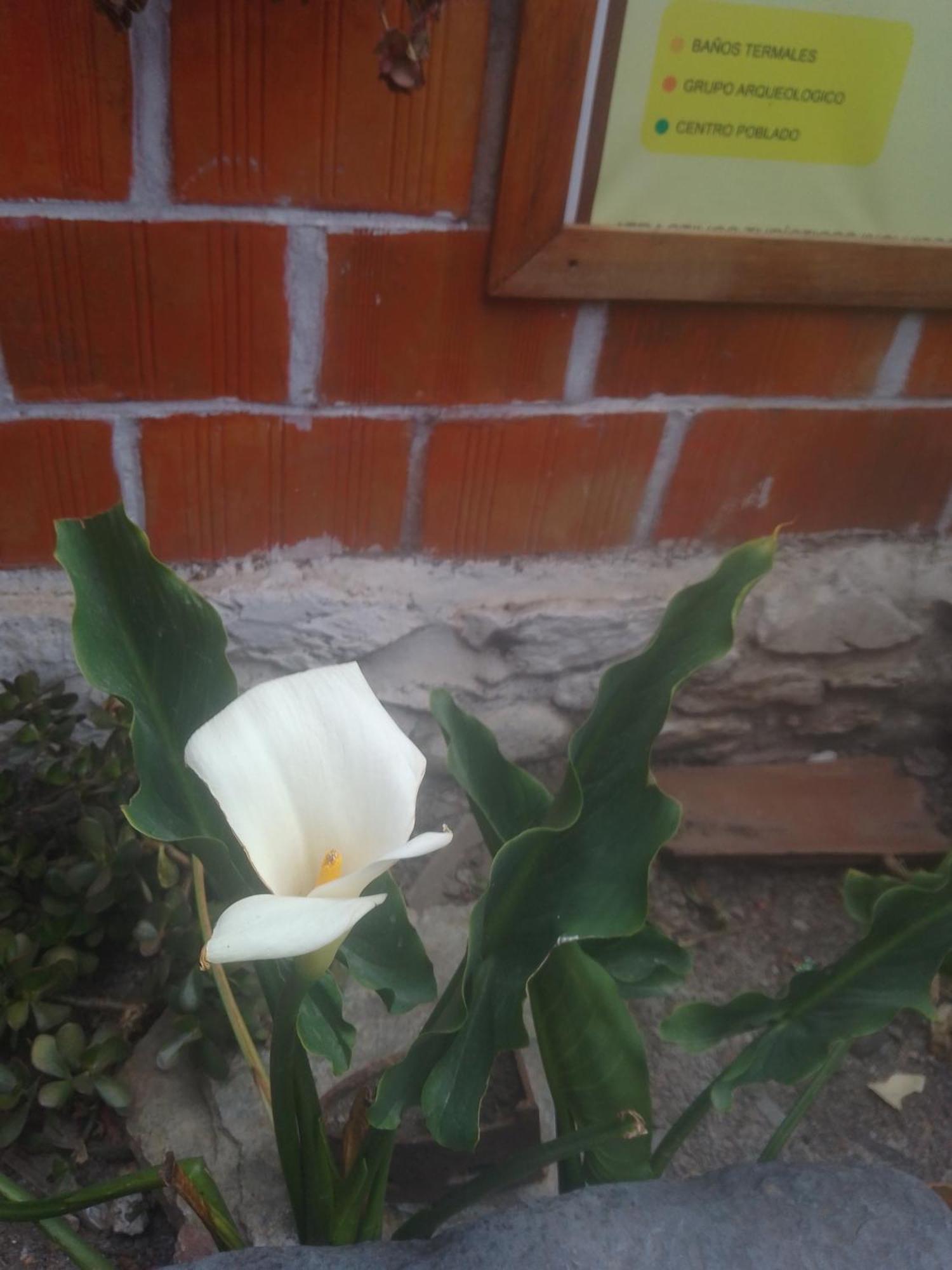 Hostal Raymi Ollantaytambo Esterno foto